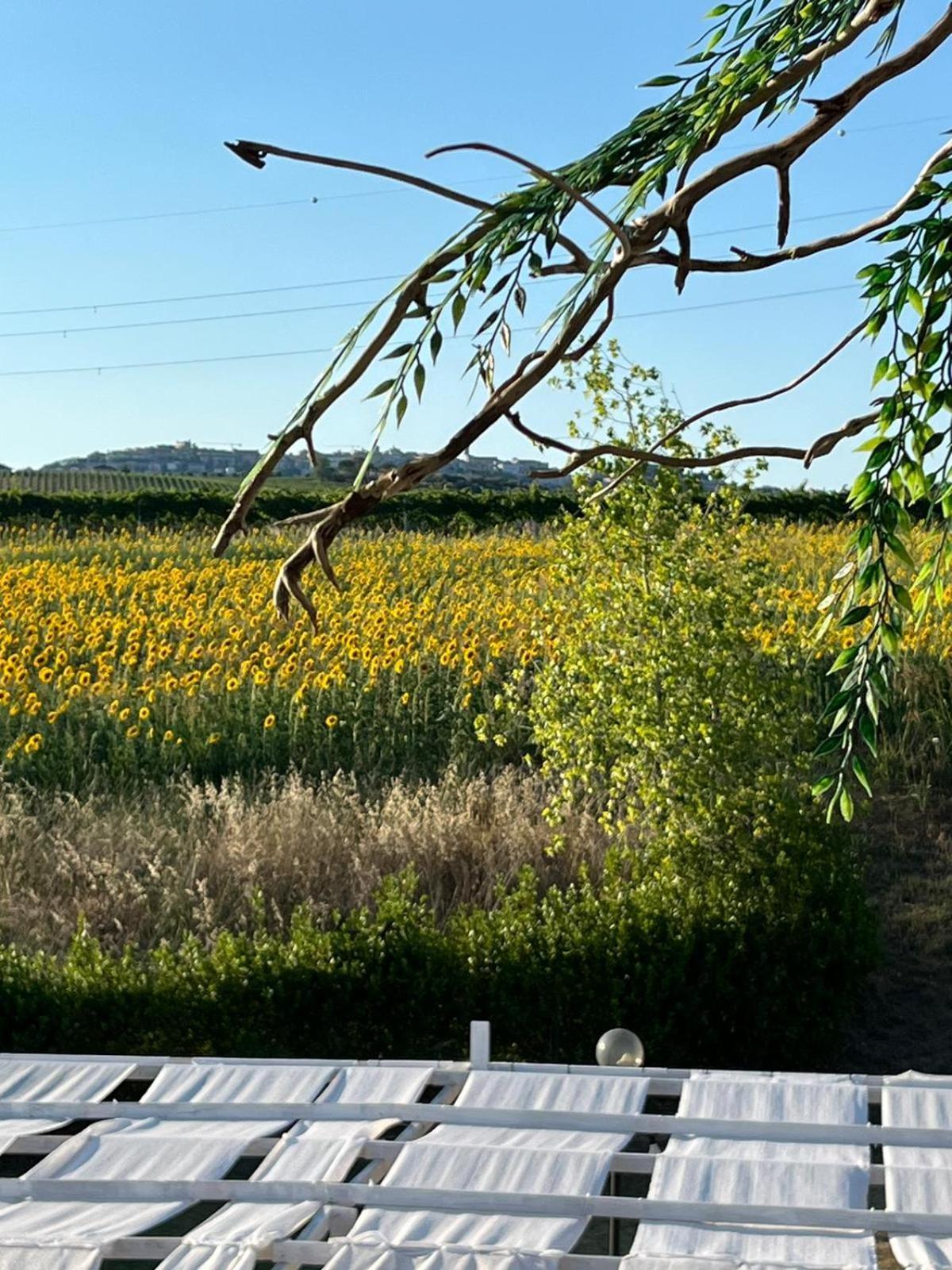 Il Podere Degli Asinelli Città Sant'Angelo Exterior foto